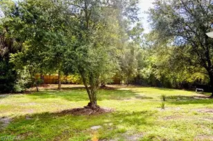 1010 Johns Ave, Lehigh Acres, FL 33972 - Photo 16