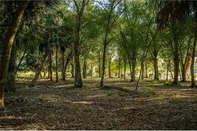 3880 Packinghouse Rd, Alva, FL 33920 - Photo 30