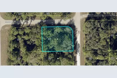 156 Nassau Ave, Lehigh Acres, FL 33974 - Photo 1
