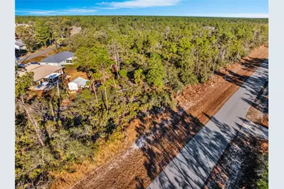 1234 Wildflower St, Lake Placid, FL 33852 - Photo 4