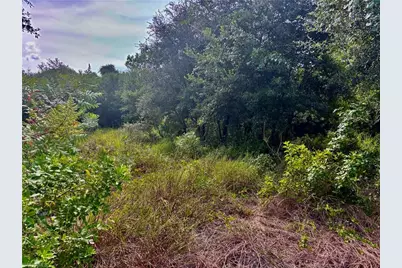 809 5th Ave E, Lehigh Acres, FL 33972 - Photo 2