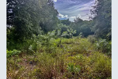 809 5th Ave E, Lehigh Acres, FL 33972 - Photo 4
