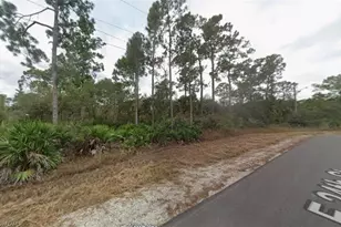 4184 E 24th St, Alva, FL 33920 - Photo 1