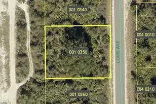 2803 Louis Ave, Alva, FL 33920 - Photo 1