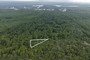 [Address not provided], Satsuma, FL 32189 - Photo 1