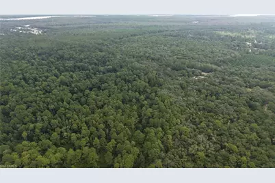[Address not provided], Satsuma, FL 32189 - Photo 18