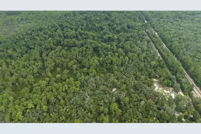 [Address not provided], Satsuma, FL 32189 - Photo 26
