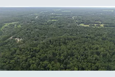[Address not provided], Satsuma, FL 32189 - Photo 12