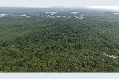 [Address not provided], Satsuma, FL 32189 - Photo 2