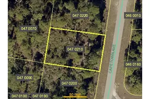 1048 Capetown Ave, Lehigh Acres, FL 33974 - Photo 1
