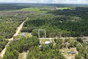 307 Himalayan St, Interlachen, FL 32148 - Photo 1