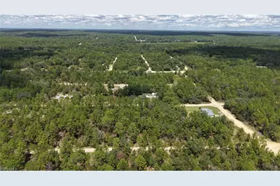 307 Himalayan St, Interlachen, FL 32148 - Photo 10