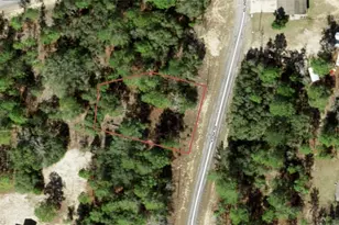 11164 N Edna Terrace, Citrus Springs, FL 34433 - Photo 1