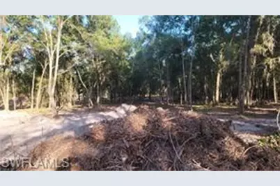 Brightway, Deland, FL 32720 - Photo 2