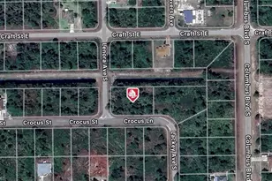 1147 Crocus St, Lehigh Acres, FL 33974 - Photo 1
