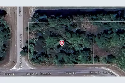 1147 Crocus St, Lehigh Acres, FL 33974 - Photo 2