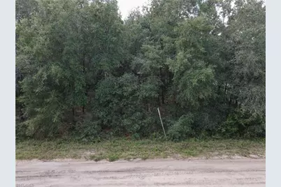 416 Trenton St St, Interlachen, FL 32148 - Photo 2