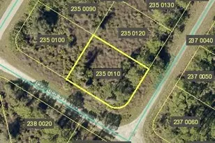 1917 Mary Lee St, Lehigh Acres, FL 33972 - Photo 1