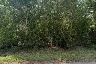 411 Grant Ave, Lehigh Acres, FL 33972 - Photo 1