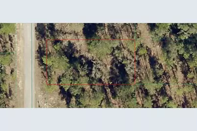 1812-012-024 SW Pinto Pl, Dunnellon, FL 34431 - Photo 1