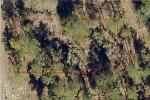 1812-012-024 SW Pinto Pl, Dunnellon, FL 34431 - Photo 1