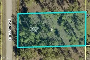 1306 Sheldon Ave, Lehigh Acres, FL 33972 - Photo 1