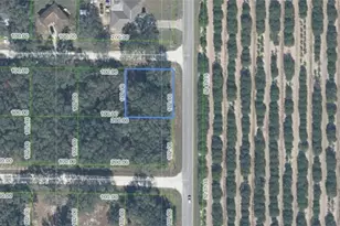 2701 W Gaffney Rd, Avon Park, FL 33825 - Photo 1