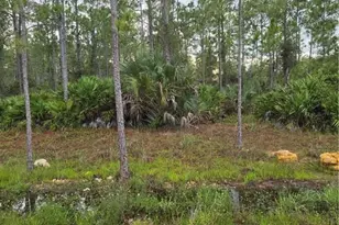 2311 Truman Ave, Alva, FL 33920 - Photo 1