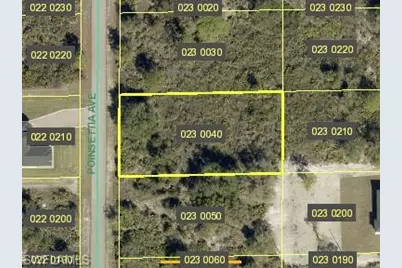 1316 Poinsettia Ave, Lehigh Acres, FL 33972 - Photo 2