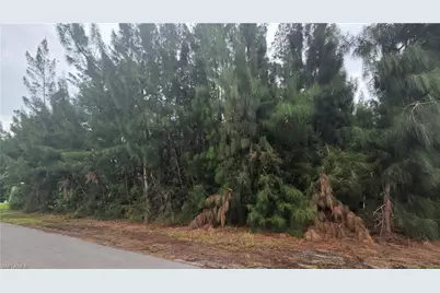 1121 NW 24th Pl, Cape Coral, FL 33993 - Photo 1