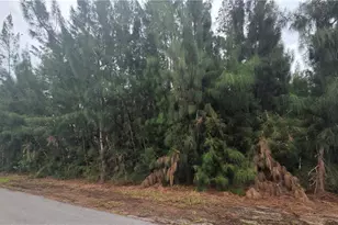 1121 NW 24th Pl, Cape Coral, FL 33993 - Photo 1