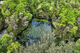 12041 Lucca St, Fort Myers, FL 33966 - Photo 62