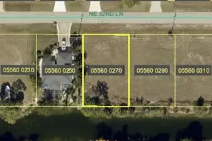 1100 NE 32nd Ln, Cape Coral, FL 33909 - Photo 1