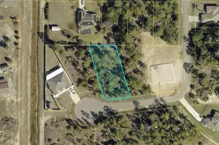 3012 Laura Ct, Lehigh Acres, FL 33971 - Photo 1