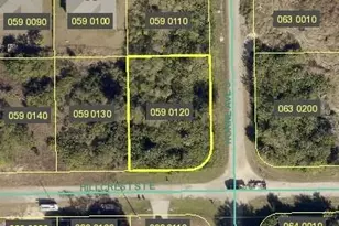 1229 Hillcrest St E, Lehigh Acres, FL 33974 - Photo 1