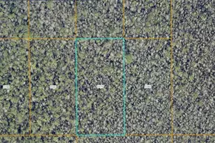 7108-01-03-0170 N St, Deland, FL 32724 - Photo 1