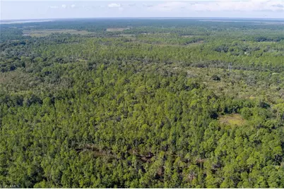 48559-39219 Gandy Rd, Mims, FL 32754 - Photo 10