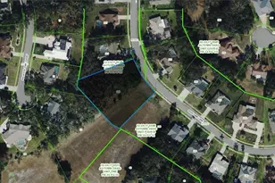 Bascomb Ln, Port Richey, FL 34667 - Photo 1