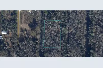 12-3S-10-0160-000E-1300 Pine St, Kinard, FL 32449 - Photo 1