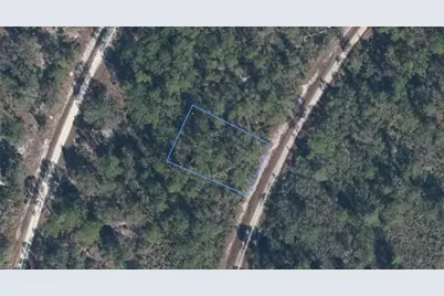 818 Hollywood St, Lake Placid, FL 33852 - Photo 1
