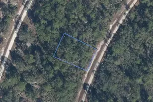 818 Hollywood St, Lake Placid, FL 33852 - Photo 1
