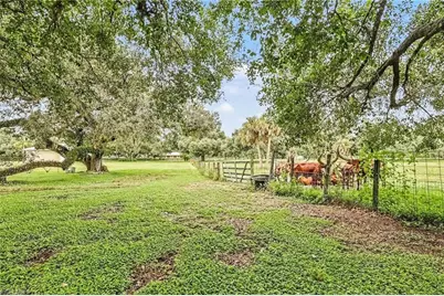 23150 N River Rd, Alva, FL 33920 - Photo 22