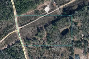 4435 Osceola Trail, Middleburg, FL 32068 - Photo 1