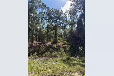 825 Grenada Ave, Lehigh Acres, FL 33974 - Photo 2
