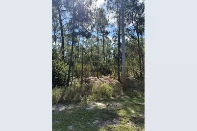 825 Grenada Ave, Lehigh Acres, FL 33974 - Photo 1