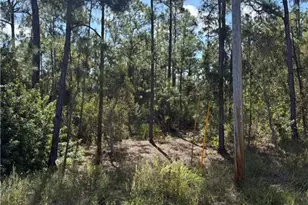 825 Grenada Ave, Lehigh Acres, FL 33974 - Photo 1