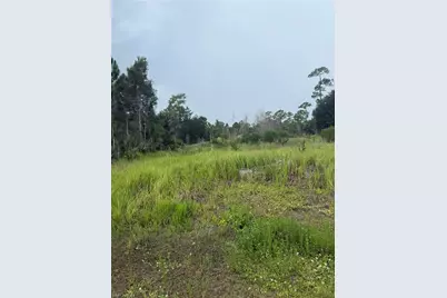 1005 Michael Ave, Lehigh Acres, FL 33936 - Photo 2