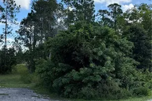 423 La Perouse St, Lehigh Acres, FL 33974 - Photo 1