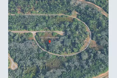 1801 Honduras Loop, Lehigh Acres, FL 33972 - Photo 2