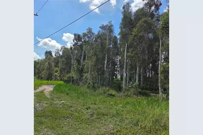 3130 Meadow Rd, Lehigh Acres, FL 33974 - Photo 8